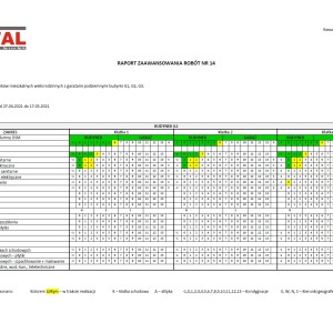 Raport zaawansowania prac G2